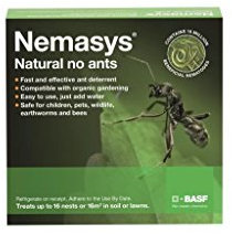 Nemasys no ant 16sqm pack
