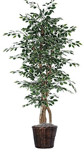 Vickerman 6-Feet Artificial Variegated Ficus Executive Tree in Decorative Container