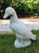 Deko Figur Gans H 32 cm Gänsefigur Tierfigur Dekofigur und Gartenfigur aus Beton