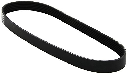 Dayco 6PK725 Poly Rib Belt