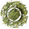 GOARTEA 250g / 8.8oz Spring Anji Bai Cha Long Jing White Dragon Well Loose Leaf Chinese GREEN TEA