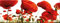 artissimo, Glasbild, 80x30cm, AG1966A, Red Poppy, rote Mohn-Blumen, Bild aus Glas, moderne Wanddekoration aus Glas, Wandbild Wohnzimmer modern