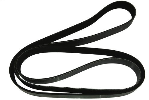 Dayco 8PK1815HD Keilrippenriemen