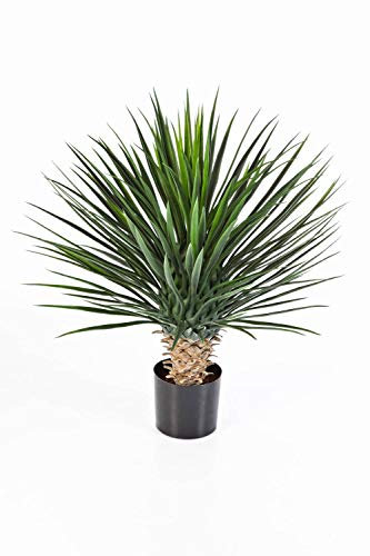 artplants.de Plastic Yucca rostrata Shrub with 176 Leaves, DELUXE, 31/80cm - Artificial Palm Yucca Shrub - Patio Decoration