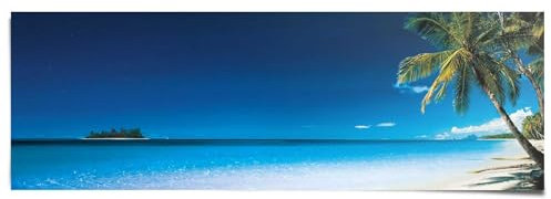 REINDERS Poster, Palme am Strand, Schlafzimmer, Bilder, Wanddeko, Room Decor, 170 gr. glänzend Bilderdruckpapier, Blau, 53x158cm