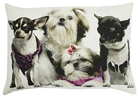Mars & More - Kissen - Dekokissen - Zierkissen - Chihuahua - Pink - 100 % Baumwolle 35 x 50 cm