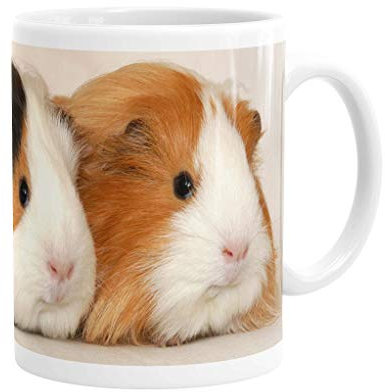 Merchandise for Fans Becher aus Keramik - 330 ml Motiv: Meerschweinchen Zwei Tiere nebeneinander Porträt (01)