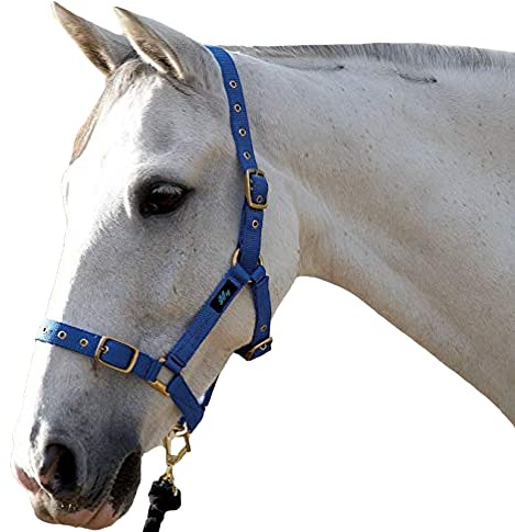 Hy Holly Fully Adjustable Headcollar(Royal, Pony)