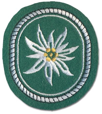 Abzeichen 1. Gebirgsdivision Textil