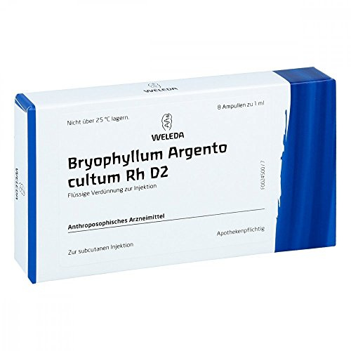 BRYOPHYLLUM ARGENTO cultum Rh D 2 Ampullen 8X1 ml