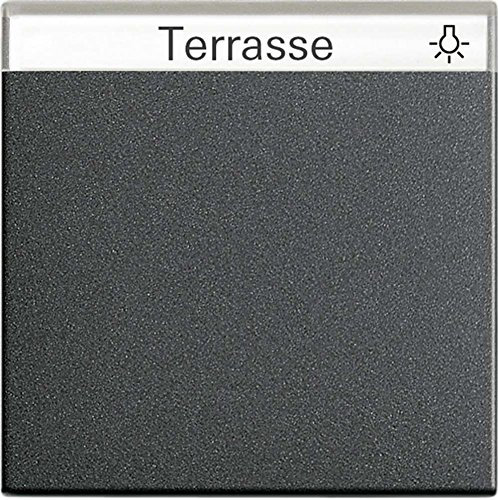 Gira Wippe 029928 BSF System 55 anthrazit