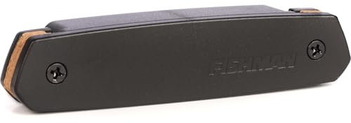 Fishman Neo-D, Single Coil