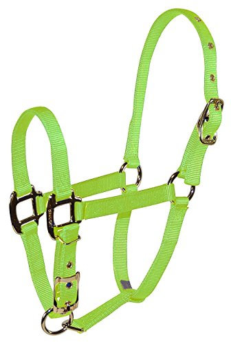 Hamilton verstellbares Pferdehalfter, Miniatur, Nylon