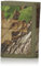 Realtree Herren Geldbörse Nylon Trifold - Mehrfarbig - Einheitsgröße