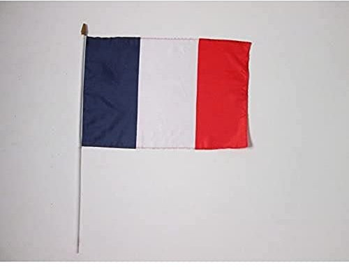 Drapeau France 45x30cm HAMPE blanche - LOT DE 10 Drapeaux français 30 x 45 cm - AZ FLAG