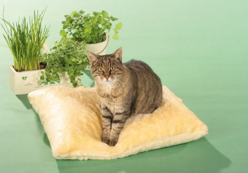 CLEVERCAT Thermokissen beige, das Pflegeleichte rundum Wohlfühlkissen Made in Germany