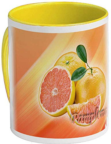 Warnschild Hund oder Warnzeichen weimaraner 30 cm