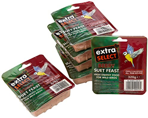 Extra Select Wild Bird High Energy Suet Block Wild Berry, 320 g (Pack of 6)