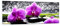 Panorama Bilder auf Glas Orchidee Natur Wasser Blume Glasbild 140x50cm Wandbilder Dekoration Wohnzimmer Schlafzimmer Küche Groß XXL Wanddeko Bild im Glas Wand Kunstdruck Art Modern GAB140x50-2658