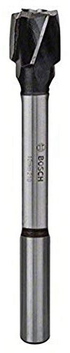 Bosch Pro Scheibenschneider Zapfenfräser (Ø 10 mm)