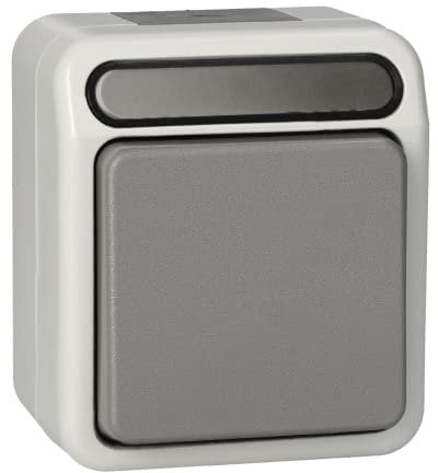 Schneider Electric MERT MEG3156-8029 1polig lichtgrau Taster mit N-Klemme, Wechsel 1-polig, AQUASTAR
