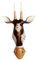 Woru Maske Antilope, Holz-Maske aus Bali, Wandmaske (50 cm)