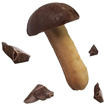 HELLMA 60117305 Emporium Bonheur Chocolat Biscuits Glckspanizes dans une boîte en carton