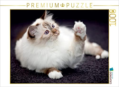 CALVENDO Puzzle Süße Heilige Birma Katze | 1000 Teile Lege-Größe 64 x 48 cm Foto-Puzzle für glückliche Stunden