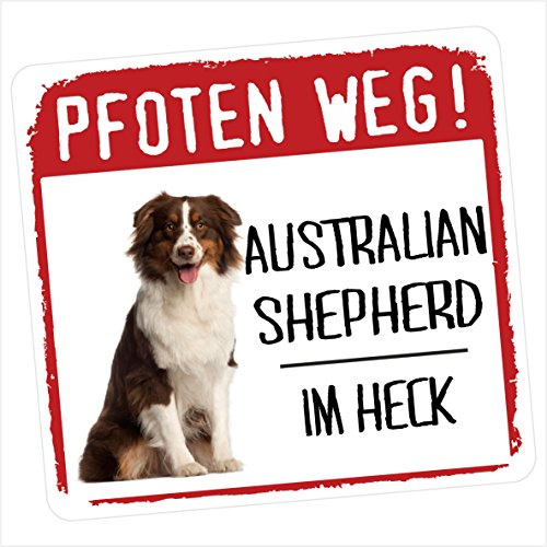 Siviwonder Autoaufkleber Australian Shepherd Motiv 1 im Heck reflektierende Reflexfolie Hinweis Hund im Auto 9 x 8 cm für Heckscheibe Heckklappe Stoßstange Hundeaufkleber Pkw Kombi SUVs Wohnmobil Vans