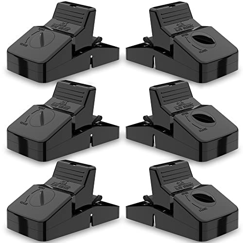 Pest Control Rat Traps Set of 6 Large Snap Traps for Rats Mice & Chipmunks Indoor & Outdoor Mouse Traps Reusable Humane Mousetraps Easy to Set Fast & Effective Powerful Snap Trampas Para Ratas Grandes