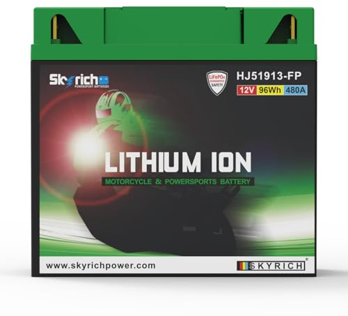 Skyrich HJ51913-FP Batteria Ricaricabile Litio 12V - Batterie Ricaricabili (Lithium, 12V 1pcs)