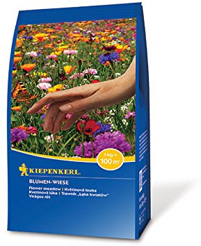 Kiepenkerl Blumen-Wiese 250 gr.