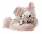 Handschuhe Husky, beige/meliert, Größe 2 -4 Jahre