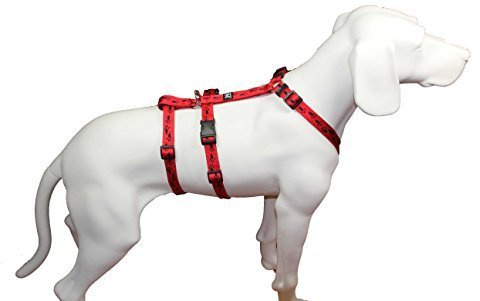 brustgeschirr.com Feltmann NoExit Hundegeschirr Pfötchen, rot, 15mm/35-50cm