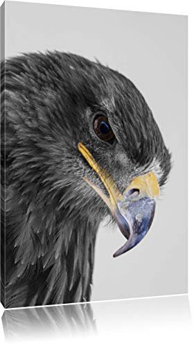 Pixxprint wunderschöner Adler im Portrait B&W, Größe: 60x40cm, Leinwandbild, fertig gespannt, Wandbild, Dekoration, Kunstdruck, kein Poster