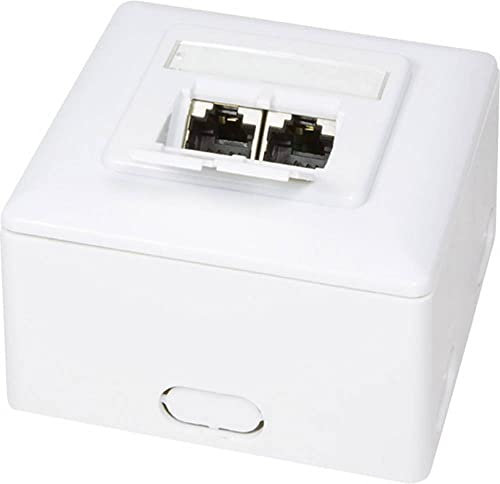LogiLink NP0039 – Prise Murale Blanche (2 x RJ45)