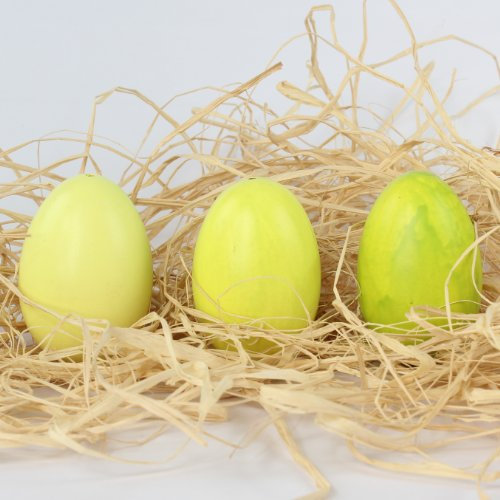 Ei Osterei, echte ausgeblasene Gänseeier für Osternest Ostern, 12er Box, sortiert in 3 verschiedenen Farbtönen, grün
