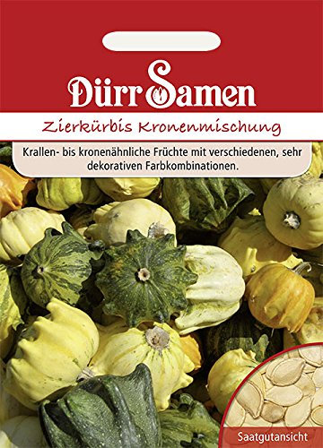 Kürbis Zierkürbis Kronenförmige Mischung Samen