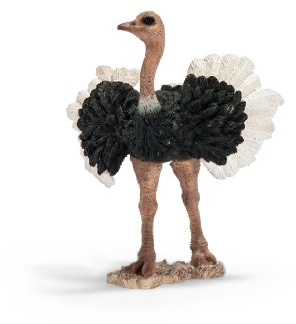 Schleich 14610 - Straußenmännchen