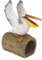 Design Toscano QM2868800 Regenfallrohrauslass „Splash, der Pelikan“