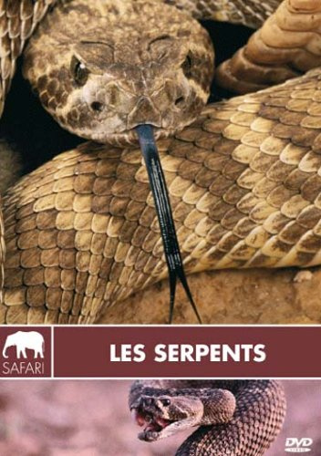 Inconnu