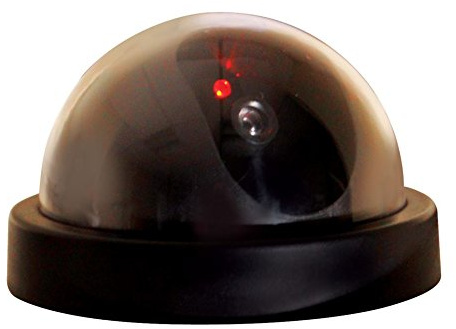 Eagle Dummy Dome Surveillance Camera