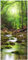 Wallario Selbstklebende Türtapete Fluss im Wald - Türposter 93 x 205 cm Abwischbar, rückstandsfrei zu entfernen