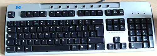 HP Standard Keyboard - PS/2 - Silver / Black