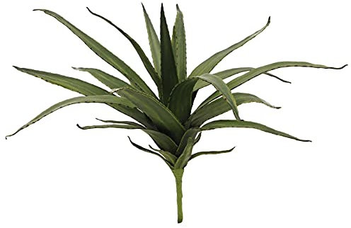 EUROPALMS Aloe (Eva), künstlich, grün, 50cm | Weiche Aloepflanze mit Soft-Touch-Blättern - wirkt sehr natürlich