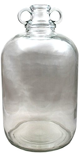 Glass 1 Gallon Demijohns