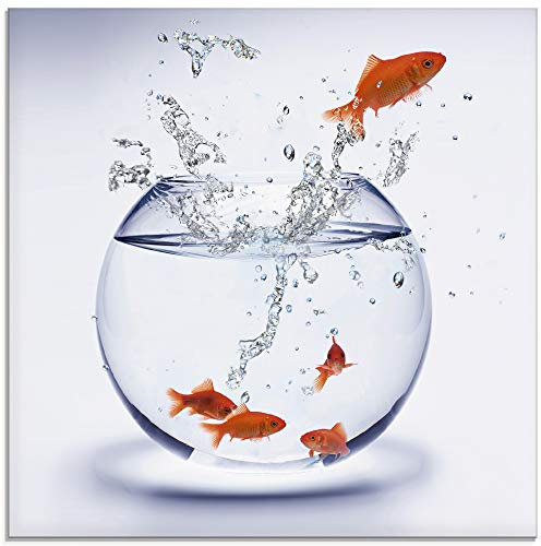 ARTland Wanddeko Glasbilder Wandbild Glas Bild einteilig Quadratisch Tiere Fische Goldfisch Aquarium Wasser T5XF