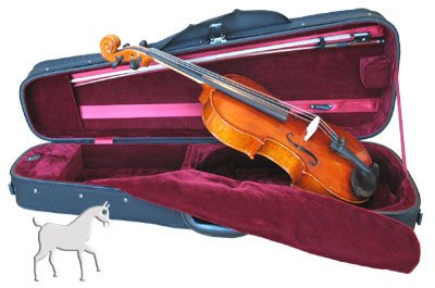 Westbury Viola Outfit 15