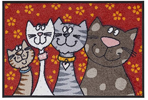 Salonloewe Fußmatte waschbar Katzenfamilie 50x75 cm HausTür-Eingangs-Matte lustig rot-bunt Tiere Fussabtreter
