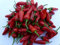 Apache Roter Chili, 30 Samen, ob groß oder klein Containers- Patio und Korb!